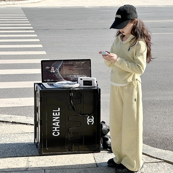 Set de două piese pentru fete: hanorac cu glugă și geacă, stil coreean, mâneci lungi, poliester, primăvară-toamnă 2025