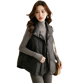 Moteriška be rankovių liemenė Europos stiliaus, laisvai kirpimo, polo apykaklė, vienalytė spalva, užpildas poliesterio medvilnė, pagrindinis audinys medvilnė-poliesteris, užsegimas vienu mygtuku, žiema 2023