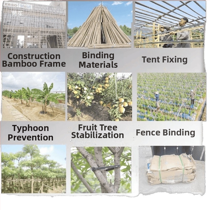 Ehitusplatsil bambusraamiga köis – pakkimiseks ja oksade sidumiseks