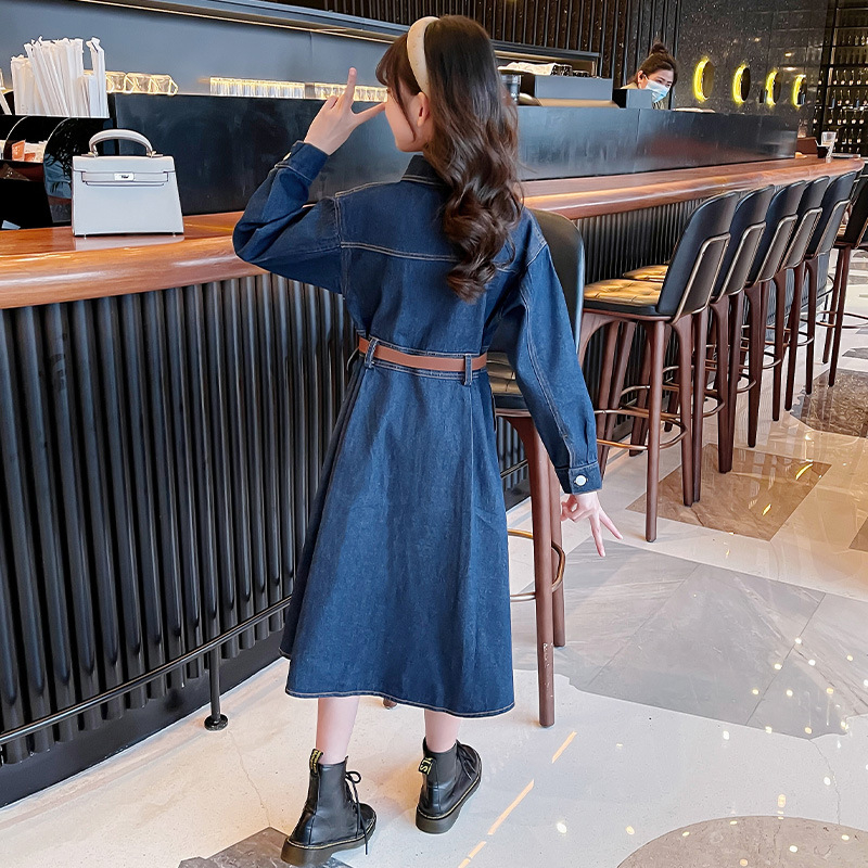 Детска рокля принцеса в Korean стил, дълги ръкави, памук 88%, за момичета над 8 години, пролетно‑есенна