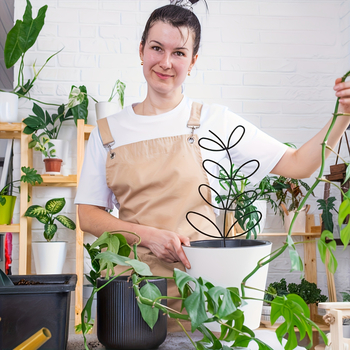 Αναρριχητικό στήριγμα κήπου σε σχήμα φύλλου, πλαστικό από έγχυση για εσωτερικά φυτά σε γλάστρες