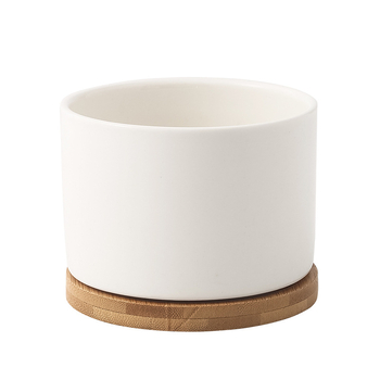 Minimalistička keramička posuda za sukulente, stolna posuda, jednostavan stil za kućni dekor