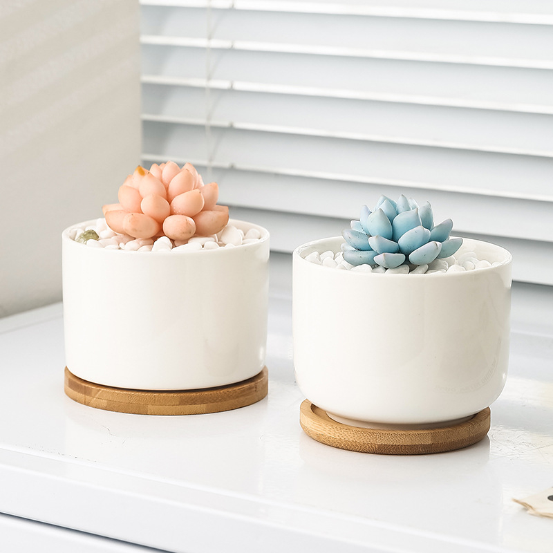 Minimalistička keramička posuda za sukulente, stolna posuda, jednostavan stil za kućni dekor