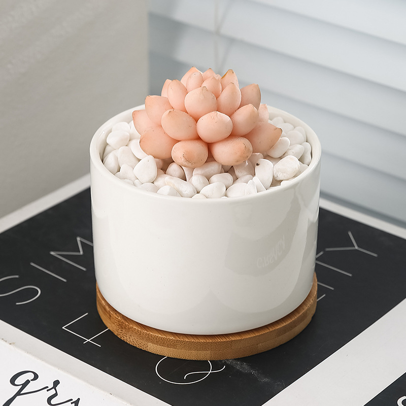 Minimalistička keramička posuda za sukulente, stolna posuda, jednostavan stil za kućni dekor