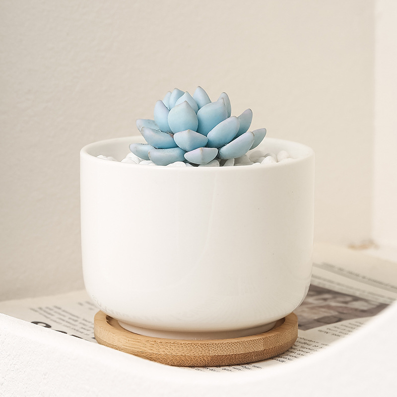 Minimalistička keramička posuda za sukulente, stolna posuda, jednostavan stil za kućni dekor
