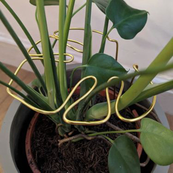 Stalak za biljke Monstera od legure, Donglong, kod proizvoda 888990, za kućnu upotrebu