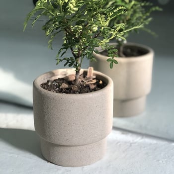 Κεραμική γλάστρα για χρήση σε επιτραπέζια ή δάπεδο, γλασάρισμένη και καμμένη σε μέτρια θερμοκρασία, σε στυλ ήσυχου μινιμαλισμού.