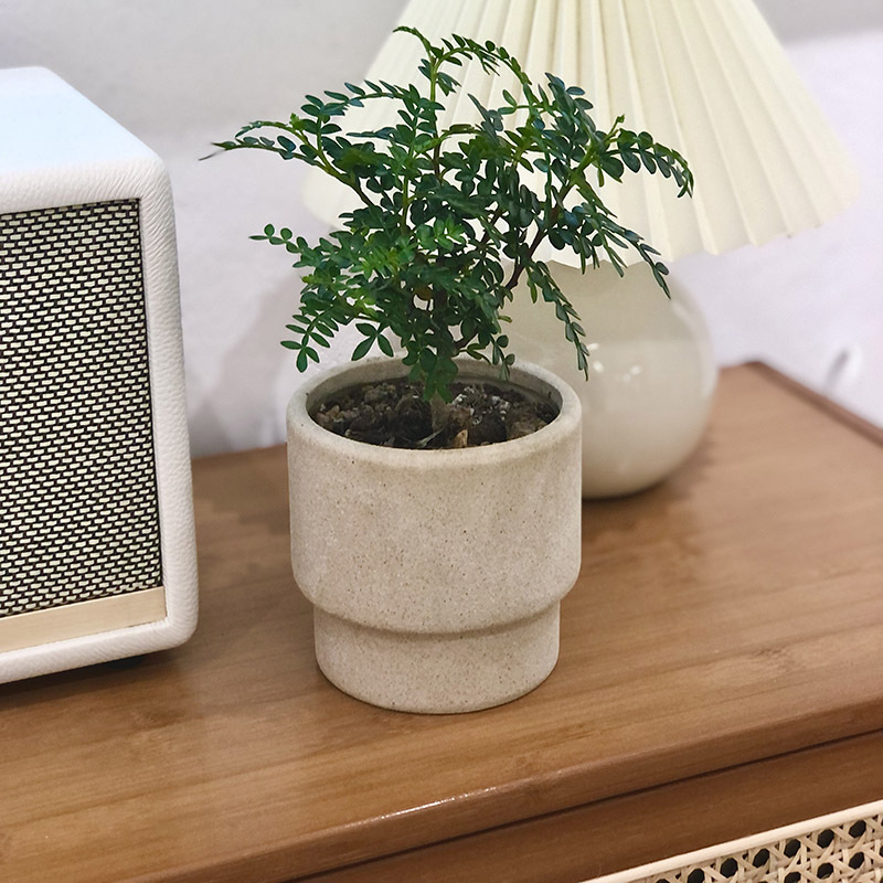 Κεραμική γλάστρα για χρήση σε επιτραπέζια ή δάπεδο, γλασάρισμένη και καμμένη σε μέτρια θερμοκρασία, σε στυλ ήσυχου μινιμαλισμού.