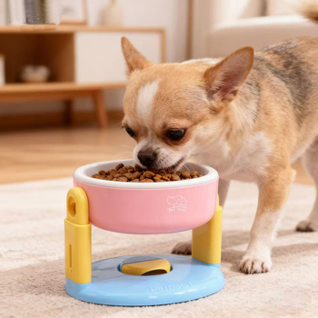 Mačja zdjela s podrškom za vrat, podignut dizajn, PP materijal, Tuomeng brend