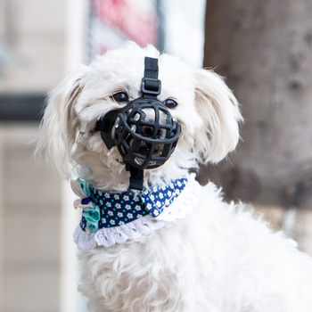 Namusnica za pse - plastika, pakiranje 100 kom., licencirana privatna marka, dodopet brend