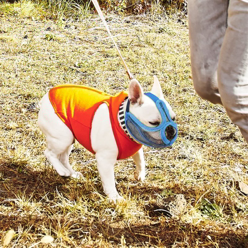 Francia bulldog pofa-maszka — nylon hálóval készült kutyamáska, anti-evés és anti-harapás védelemmel, szalagzárás