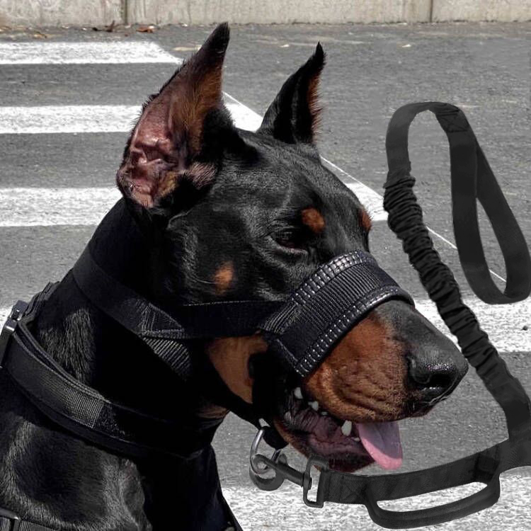 Muzzle za trening pasa, materijal: svileno cvijeće, bez uvoza, bez IP prava