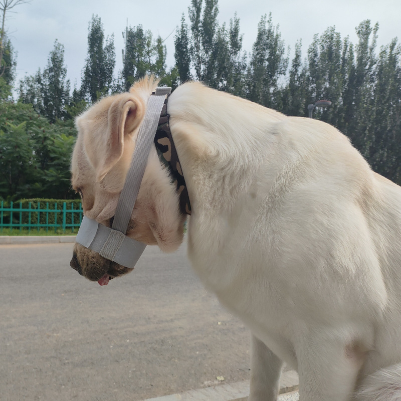 Náhub za psa, sprječava ugriz i lavež, podesiv, poliester materijal; domaći proizvod; bez IP dozvole