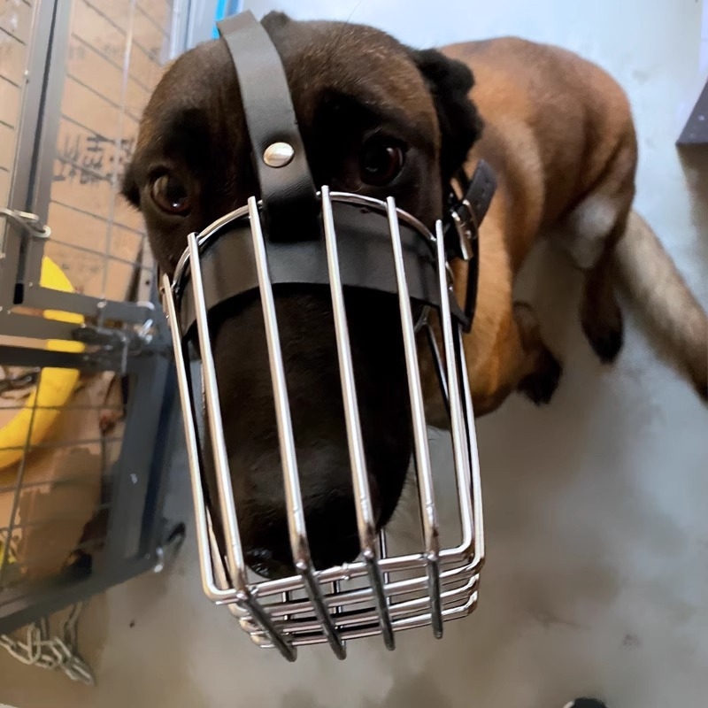 Kutyaszájvédő Malinois és Német Juhász számára - Fém, Harapásálló, Védő Kialakítás