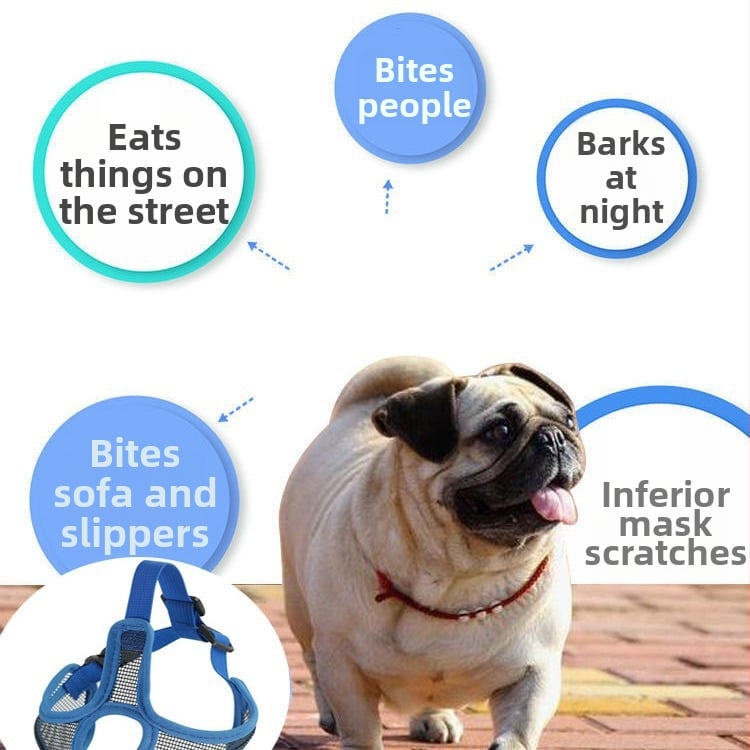 Nylonová maska pre psa, OEM značka, 200 kusov v balení, IP autorizácia: Nie