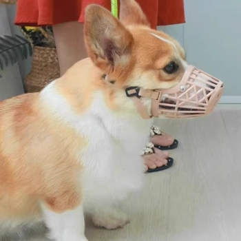 Botnička za pse, plastični materijal, anti-ukrštavanje i anti-lajanje, sprječava lizanje i griženje, brend Friendly