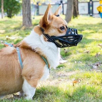 Psi muzzla protiv ugriza, protiv jedenja i protiv lajanja