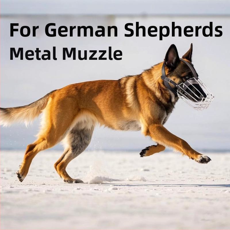 Náhubok pre psov Bai aiji – kovový, pre Malinois a nemeckého ovčiaka, krabička 10 kusov