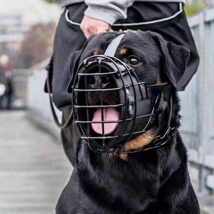 Nužnik za radne pse – Njemački ovčar i belgijski malinois, obuka, nehrđajući čelik i koža od goveda, protiv ugriza i otporan na udarce