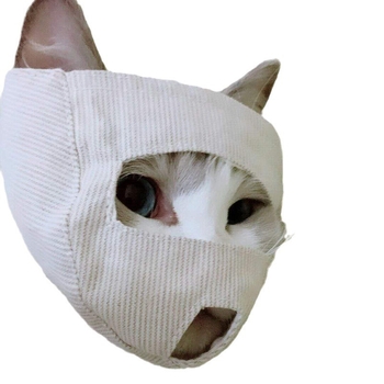 Hartley platnena maska za oči, prozirna mačja maska, dišuća i s širokim vidnim poljem, pakiranje 35 komada