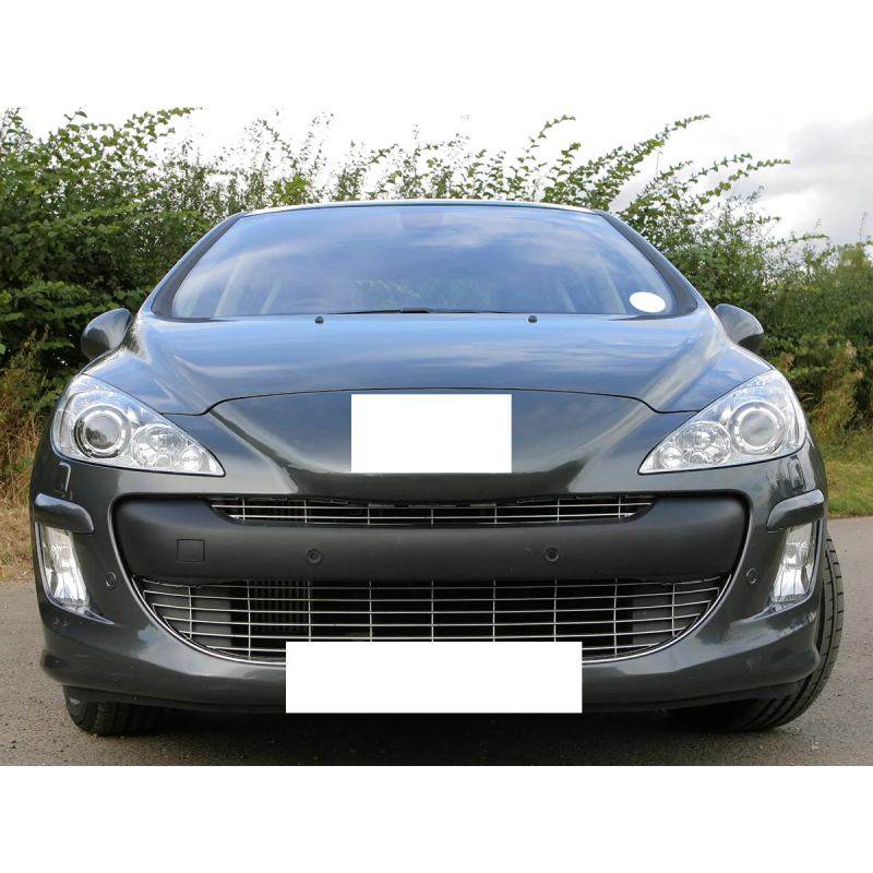 Prednje svjetlo za maglu 12V 55W Halogen Peugeot 308 07-14 (6208x5 / 6206x5)