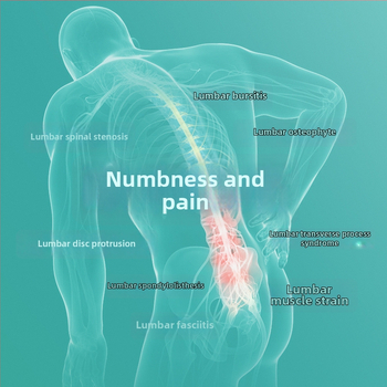 Muguras atbalsta spilvens grūtniecībai, pildījums sūklis, vienkrāsains raksts, mūsdienīgs vienkāršs stils, piemērots visām sezonām