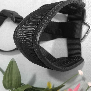 Muzzle za pse s pristupom vodi, protiv ugriza i protiv jedenja