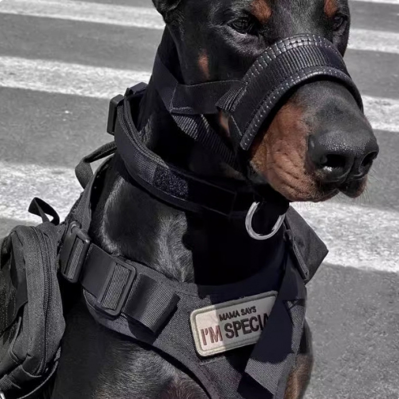 Muzzle za pse s pristupom vodi, protiv ugriza i protiv jedenja