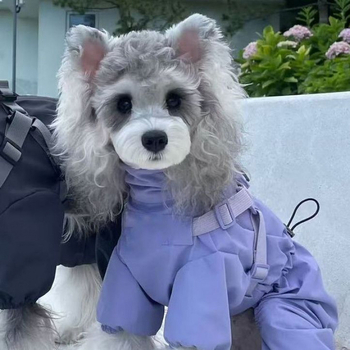 Готино и стилно зимно палто за кучета, идеално за топло и уютно носене. Включва също ветроустойчив, водоустойчив, подплатен и ветроустойчив дизайн