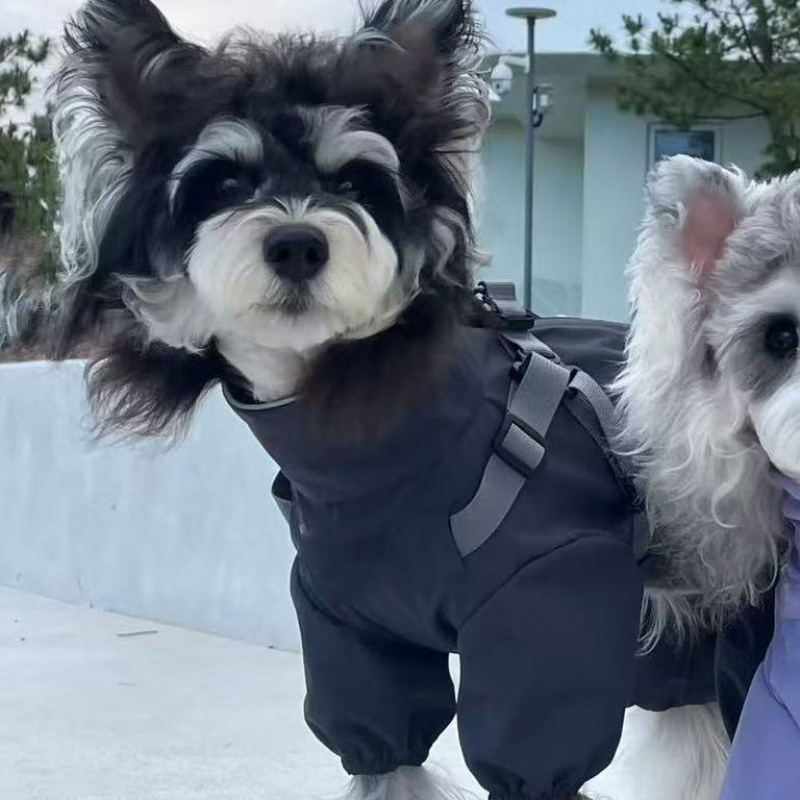 Готино и стилно зимно палто за кучета, идеално за топло и уютно носене. Включва също ветроустойчив, водоустойчив, подплатен и ветроустойчив дизайн