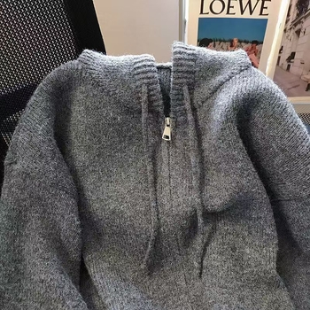 Kardigan s kapuljo i zatvaračem, ležernog kroja, Mercerizirana tkanina, PVC tkanina s manje od 30% spandeksa, duljina 50–65 cm, jesen 2025