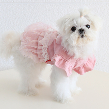 Petstyle Kasdienė augintinio sijonas - audinys, Šanchajaus kilmė, unisex