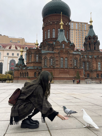 Vuneni kaput s kariranim uzorkom, debeli, ovratnik šal, dugi rukavi (karirani uzorak, debeli, ovratnik šal, dugi rukavi)