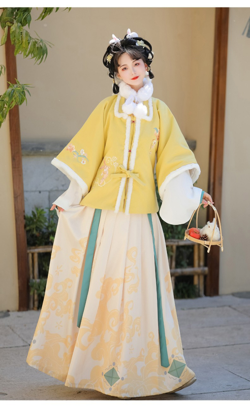 Ženski Hanfu zimski set s motivom životinja, ojačana mamian suknja, poboljšana kratka jakna s kvadratnim ovratnikom, izšivka
