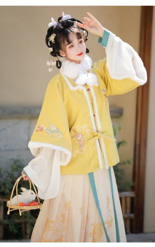 Ženski Hanfu zimski set s motivom životinja, ojačana mamian suknja, poboljšana kratka jakna s kvadratnim ovratnikom, izšivka