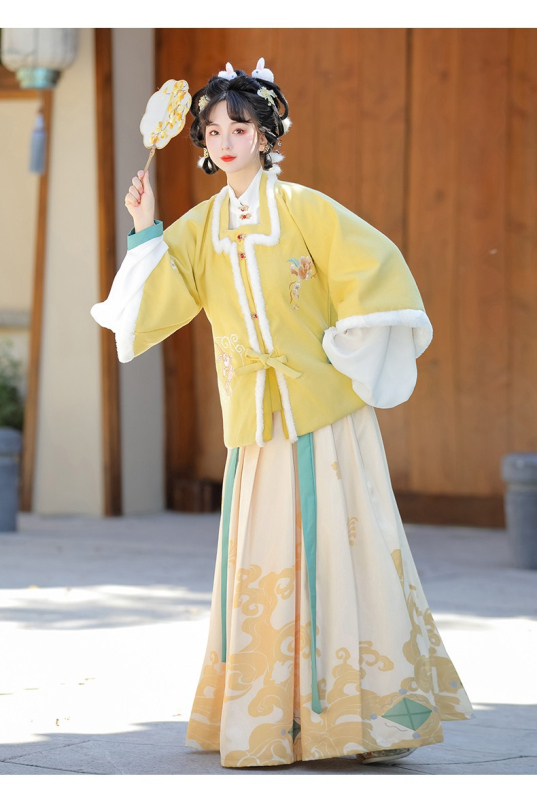 Ženski Hanfu zimski set s motivom životinja, ojačana mamian suknja, poboljšana kratka jakna s kvadratnim ovratnikom, izšivka