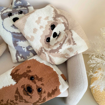 Μισό βελούρι κουβέρτα, βελούδινο ύφασμα, χειμώνας, μοντέρνο μινιμαλιστικό στυλ, βάρος 1000–1500 g