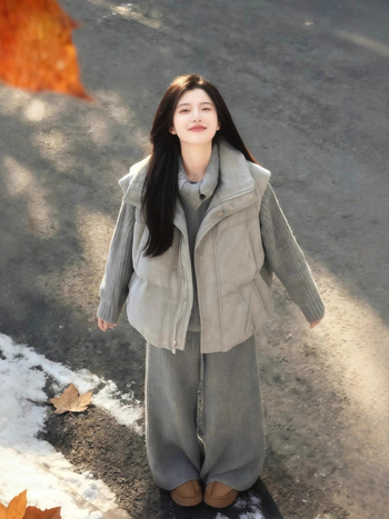 Ženski vest u stilu Royal Sister, stojeći ovratnik, zatvarač, zima 2025