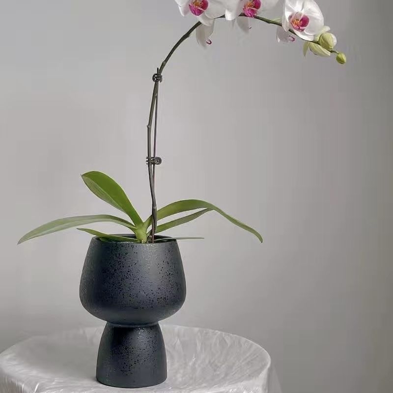 Keramički lonac za Phalaenopsis, stojeći na podu, nordijski stil, s donjim pladnjem