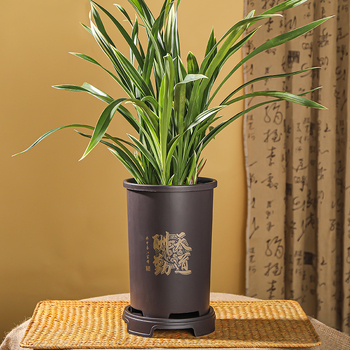 Γλάστρα για λουλούδια από ρητίνη, χυτευμένη με έγχυση, βιοδιασπώμενη, ανθεκτική στη διάβρωση, ισχυρή.