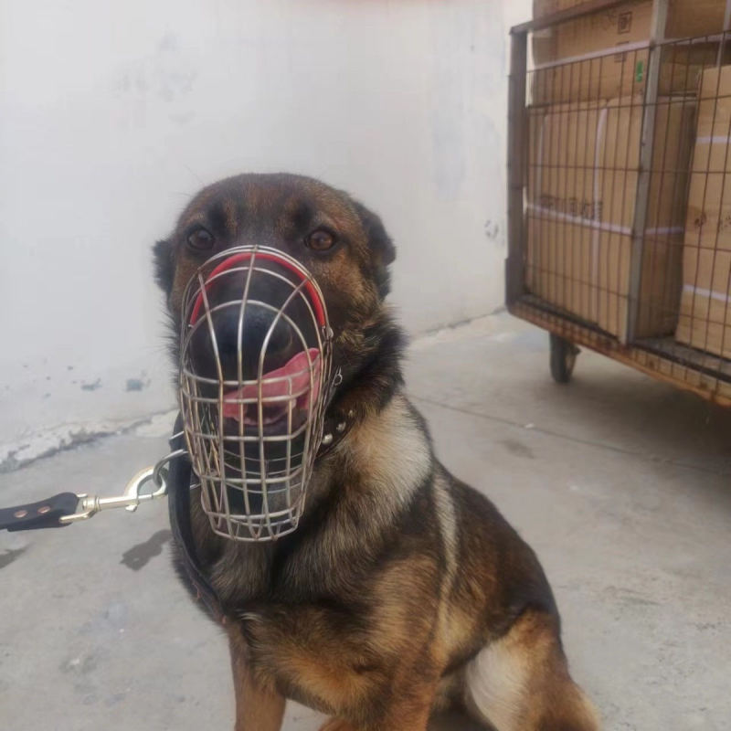 Kutyaszáj-muzzle - Fém szájrács Márka Lu xuan tian eagle (Anyag: Fém; Importált: Nem; IP engedélyezve: Nem)