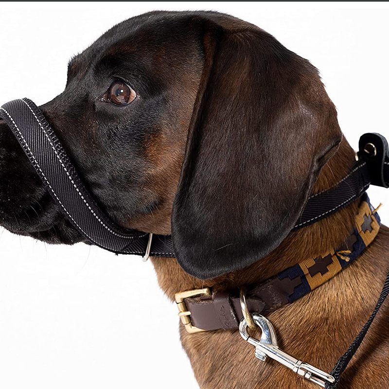 Haberie neilona suņa pavadiņa, vilces lente, 100 gab.