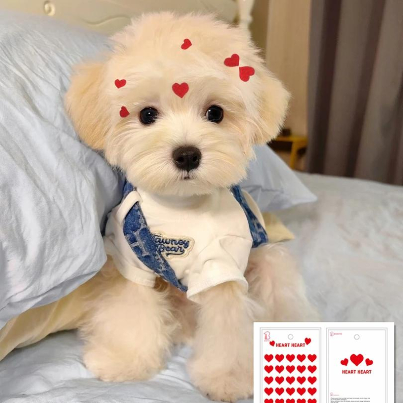 Suņu un kaķu apģērba uzlīmes – galvas aksesuāri suņiem un kaķiem, zīda ziedu akcenti, modelis 69850, universāla izmantošana, vasaras izmantošanai, bez personalizācijas