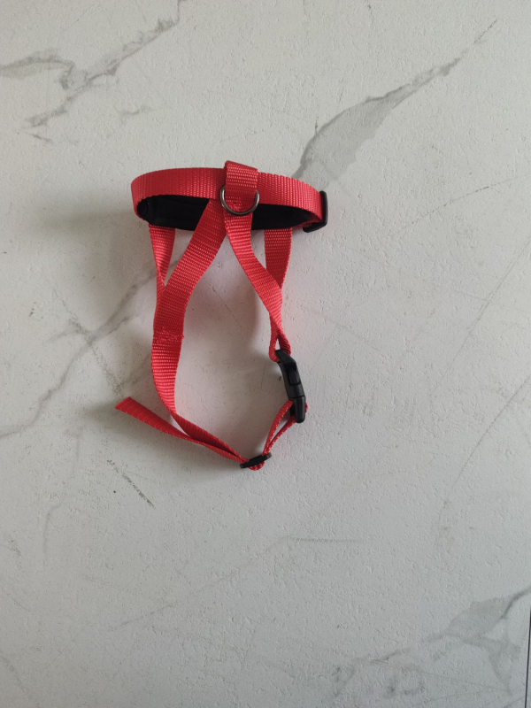 Polyester muzzle za pse, sprječava ugrize, jedenje i lavež, dopušta piti vodu