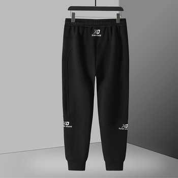 Vyrų didelio dydžio komplektas su užtrauktuku ir gobtuvu — striukė ir kelnės, ruduo 2024, poliesterio medvilnė