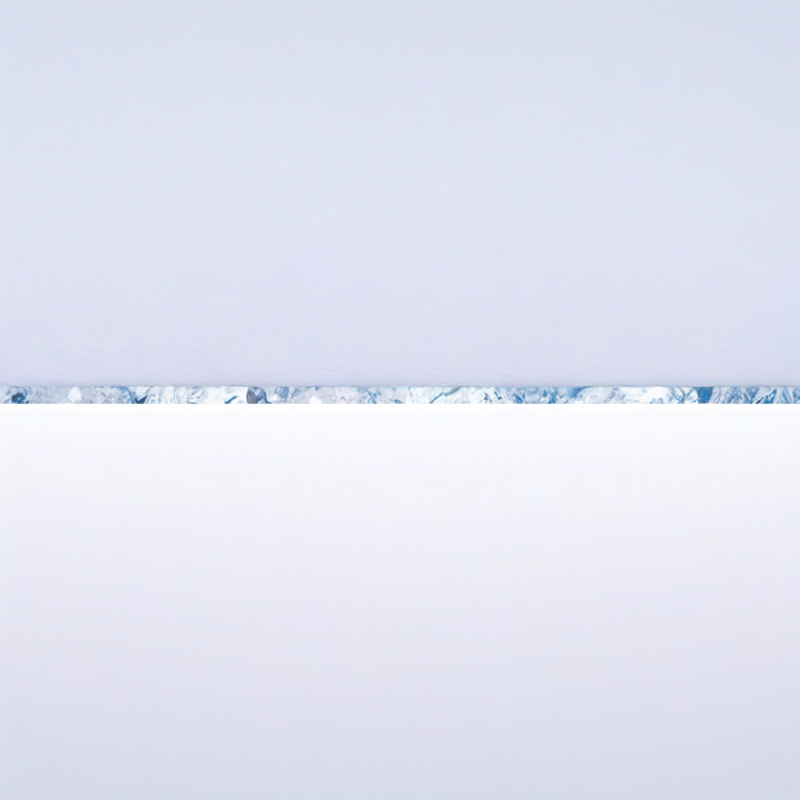 Muške hlače s ravnim krojem od korduroja, flis podstava, srednji pojas, s remenom i čvorom zatvaranja, zima