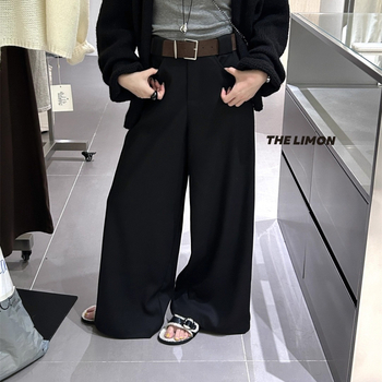 Ženske široke dugačke hlače od poliestera, casual stil, elegantan gradski stil, zimska kolekcija 2025