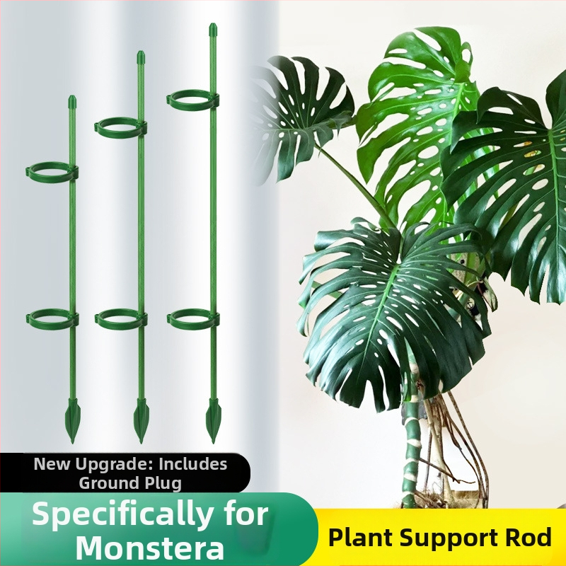Klimajuća pergola za Monstera – podrška za biljke, marka Su su, materijal: Drugo, za kućno vrtlarenje