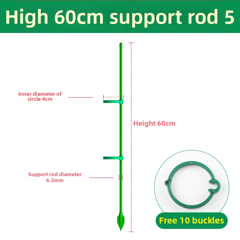 Kāpšanas augu atbalsts – Monstera stabs, zīmols Su su, mājas dārzkopībai (Materiāls: Cits; Tips: Kāpjošs pergola; Piemērošana: Mājas dārzkopība)