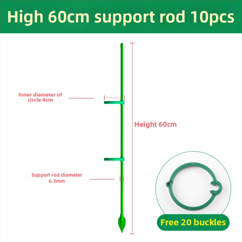 Kāpšanas augu atbalsts – Monstera stabs, zīmols Su su, mājas dārzkopībai (Materiāls: Cits; Tips: Kāpjošs pergola; Piemērošana: Mājas dārzkopība)
